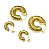 Fashion Spiral Stripe Stainless Steel Gold Plated Earrings 1 Pair main image 2