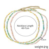Simple Style Classic Style Color Block Stainless Steel Artificial Crystal Beaded Women's Necklace sku image 19