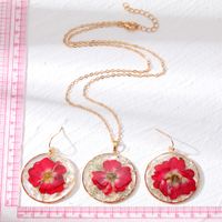 Moda Flor Resina Epoxy Mujeres Aretes Collar main image 4