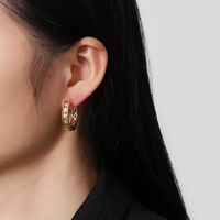 Simple Style Geometric Metal Gold Plated Women's Earrings 1 Pair main image 3