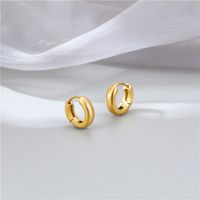 1 Pair Fashion Round Plating Titanium Steel Hoop Earrings main image 1