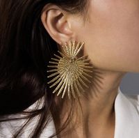 Exaggerated Fashion Geometric Plating Alloy Earrings sku image 1