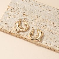 Fashion Simple Style Dolphin Alloy Plating Women's Earrings main image 4