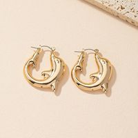 Fashion Simple Style Dolphin Alloy Plating Women's Earrings main image 2