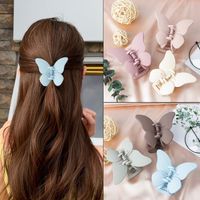 Fashion Solid Color Butterfly Pc Stoving Varnish Hair Claws 1 Piece main image 4