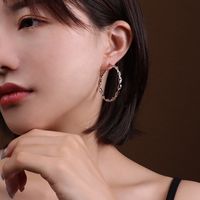 Titanium&stainless Steel Fashion Geometric Earring  (rose Alloy) Nhok0364-rose-alloy sku image 5