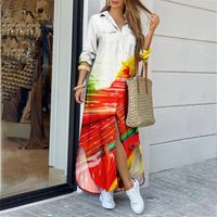 Women's A-line Skirt Casual Shirt Collar Long Sleeve Color Block Maxi Long Dress Daily Street main image 5