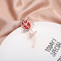 Fashion Animal Flower Notes Alloy Plating Inlay Rhinestones Opal Women's Brooches main image 4