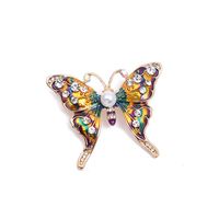 Fashion Animal Flower Notes Alloy Plating Inlay Rhinestones Opal Women's Brooches main image 2