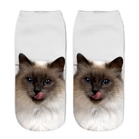 Unisex Fashion Cat Polyester Cotton Polyester Handmade Ankle Socks A Pair sku image 2