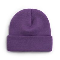 Women's Classic Style Solid Color Eaveless Wool Cap sku image 11