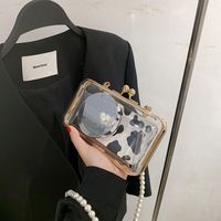 Fashion Pearl Chain Transparent Starfish One-shoulder Messenger Bag 18*11*6cm main image 2