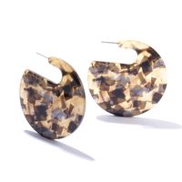 Retro Exaggerated Acrylic Geometric Pattern Acetate Plate Trend Earrings main image 3