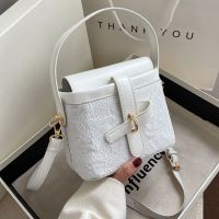 French Niche Small Bag Women's 2022 Spring And Summer Messenger Bag 17.5*14*10cm main image 1