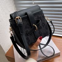 French Niche Small Bag Women's 2022 Spring And Summer Messenger Bag 17.5*14*10cm main image 3