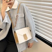 Textured Women's Bag File Bag 2022 Spring New Fashion Chain Shoulder Bag 16*23*8cm sku image 1