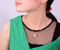 Simple Geometric Necklace Plated 18k Rose Gold Titamium Steel Collarbone Chain main image 2