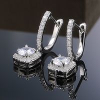 New Exquisite Micro-inlaid Zircon Wild Ear Buckle European And American Copper Ear Accessories main image 5