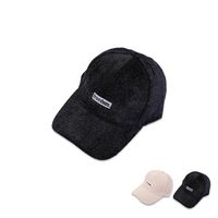 Autumn And Winter New Plush Baseball Cap Female Korean Letter Baseball Cap main image 2