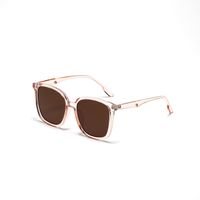 Mode Carré Grand Cadre Tendance Européenne Et Américaine Nouvelles Lunettes De Soleil Confortables sku image 4