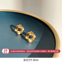 Fashion Metal Design Earrings Irregular Circle Female Exaggerated Retro Earrings sku image 49