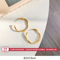 Mode Metall Design Ohrringe Unregelmäßig Kreis Weiblich Übertrieben Retro Ohrringe sku image 48