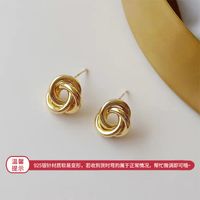 Mode Metall Design Ohrringe Unregelmäßig Kreis Weiblich Übertrieben Retro Ohrringe sku image 24