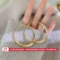 Mode Metall Design Ohrringe Unregelmäßig Kreis Weiblich Übertrieben Retro Ohrringe sku image 88