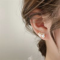 Silberne Nadel Koreanische Perlenohrstecker Damen Kalter Wind Einfache Damen Kleine Antiallergische Leichte Luxus Nischen Design Ohrringe Damen main image 1