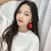 Korean Fashion Geometric Rose Flower Exaggerated Long Alloy Earrings main image 3