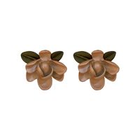 Fashion Flower Leaf Earrings Niche Korean Acrylic Stud Earrings main image 6