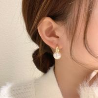 Fashion Pearl Earrings Niche Simple Alloy Ear Buckle Women sku image 1
