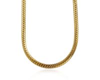 Snake Bone Flat Chain Retro Women's Titanium Steel Plated 18k Gold Necklace main image 5