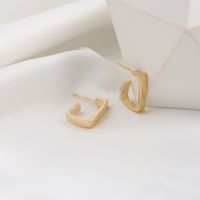 Fashion Geometric Metal Creative Trend Alloy Stud Earrings Wholesale main image 4