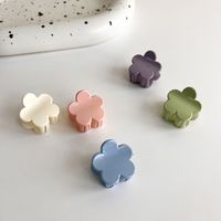 Fashion Cream Flower Catch Cute Ponytail Bangs Clip Hair Accessories main image 4