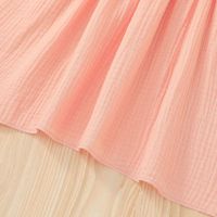 Little Girl Suspender Skirt Clothes 2022 Summer Girls Pink Twist Dress main image 4