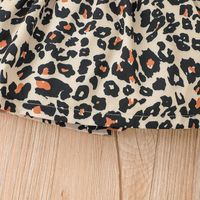 Summer Little Girl Flying Sleeve Dress Leopard Print Stitching Dress main image 4