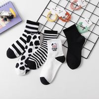 Four Seasons New Mid-tube Spotted Cow Socks Sweat-absorbing Striped Socks main image 3