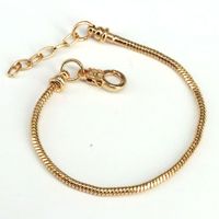 Copper Plated Chain Snake Bone Chain Gold Plated Chain Lobster Clasp Bracelet main image 4
