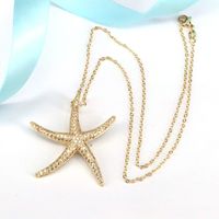 Fashion Micro-set Zircon Necklace Creative Copper Electroplating Starfish Necklace main image 4