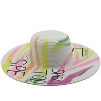 Fashion Hand-painted Animal Beach Big Brim Straw Sunscreen Sun Hat main image 6