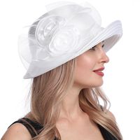 Sombrero De Playa Para Mujer Con Sombrilla De Ala Grande Y Flor De Malla A La Moda De Verano main image 1