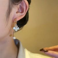 Fashion Zircon Pearl Flower Earrings Retro Long Alloy Earrings main image 5