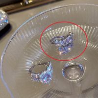 Zircon Ovale Double Rangée Bague Ouverte Bague En Diamant En Alliage De Mode Coréenne Femme sku image 2