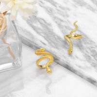 Exaggerated Retro Snake-shaped Golden Copper Ring Wholesale main image 5