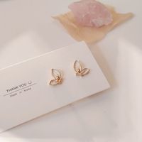 Fashion Butterfly Oil Drop Female Simple Alloy Stud main image 6