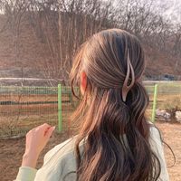 Clip Horizontal Givré Coréen Plaque De Bain En Épingle À Cheveux À L&#39;arrière De La Tête Grand Clip De Bec De Canard main image 1