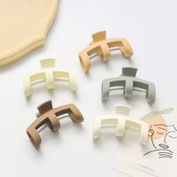 Korean Hairpin Cream Color Grasping Clip Back Head Plate Hair Accessories main image 1