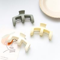 Korean Hairpin Cream Color Grasping Clip Back Head Plate Hair Accessories main image 4