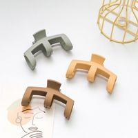 Korean Hairpin Cream Color Grasping Clip Back Head Plate Hair Accessories main image 5